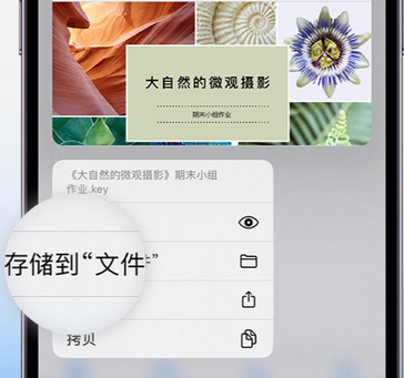 遂宁apple维修中心分享iPhone文件应用中存储和找到下载文件