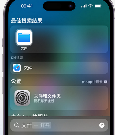 遂宁apple维修中心分享iPhone文件应用中存储和找到下载文件