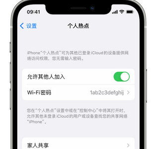 遂宁apple服务站点分享iPhone上个人热点丢失了怎么办 