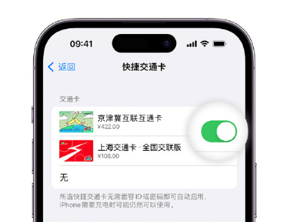 遂宁apple维修点分享iPhone上更换Apple Pay快捷交通卡手绘卡面 