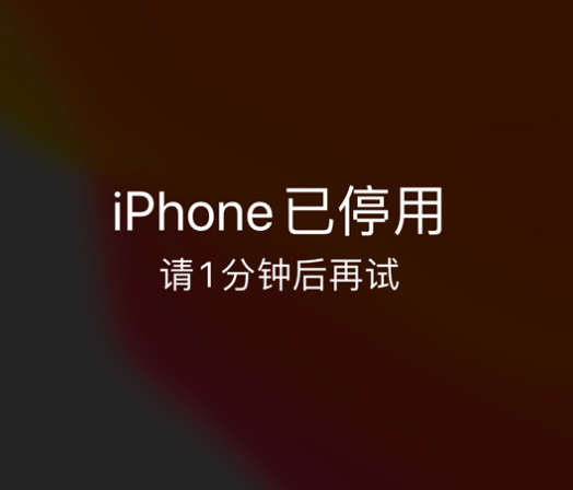 遂宁苹果手机维修分享:iPhone 显示“不可用”或“已停用”怎么办？还能保留数据吗？ 