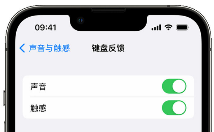 遂宁苹果手机维修分享iPhone 14触感键盘使用方法 