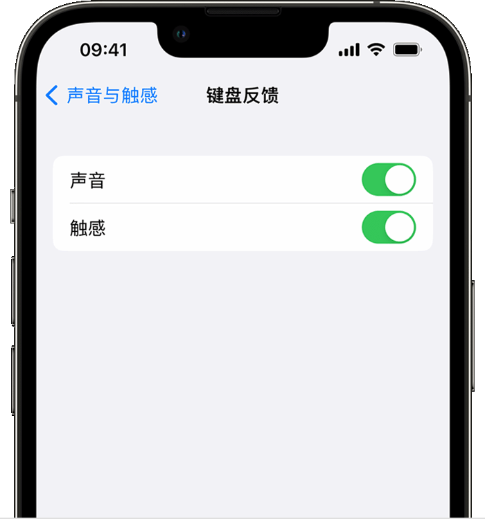 遂宁苹果14维修店分享如何在 iPhone 14 机型中使用触感键盘 