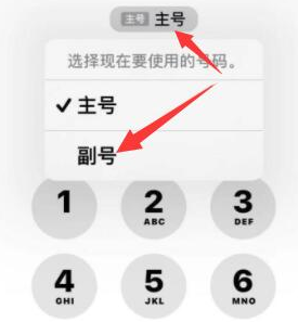 遂宁苹果14维修店分享iPhone 14 Pro Max使用副卡打电话的方法 