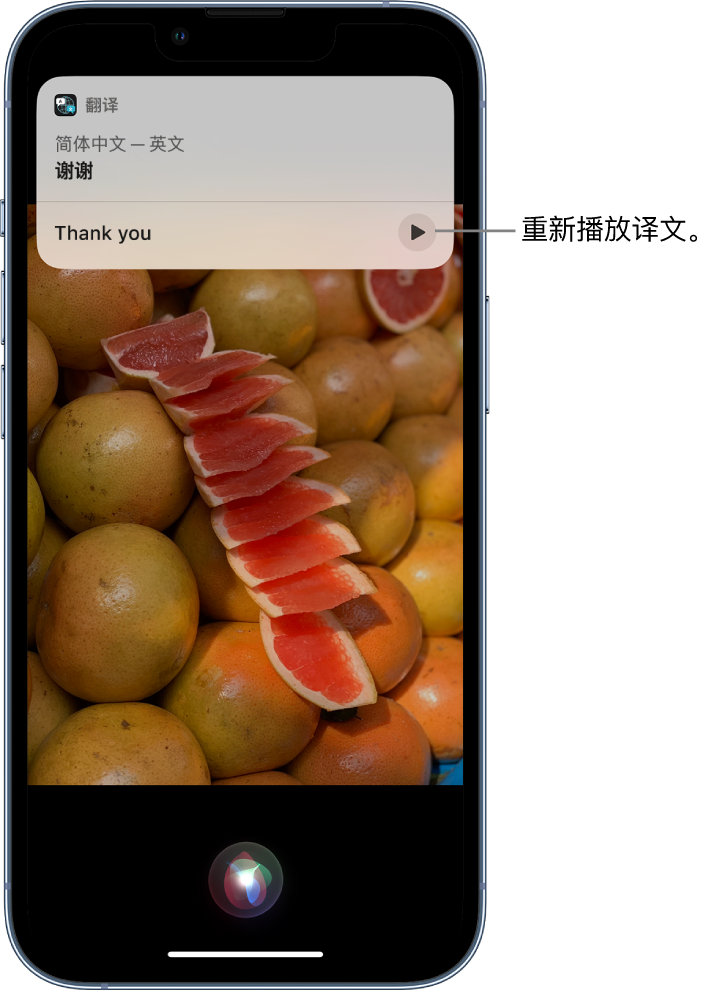 遂宁苹果14维修分享 iPhone 14 机型中使用 Siri：了解 Siri 能帮你做什么 