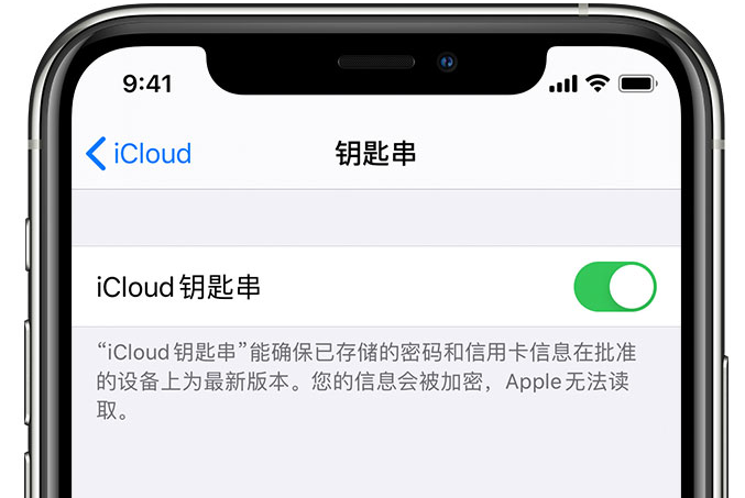 遂宁苹果手机维修分享在 iPhone 上开启 iCloud 钥匙串之后会储存哪些信息 