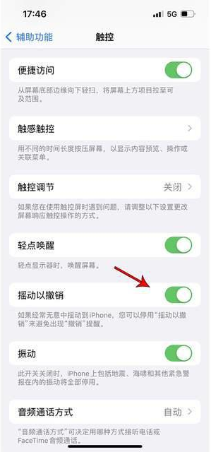 遂宁苹果手机维修分享iPhone手机如何设置摇一摇删除文字 