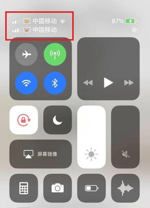 遂宁苹果手机维修分享为 iPhone 12 双卡设置标签 